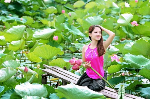 Hanoï à la saison des lotus - ảnh 2